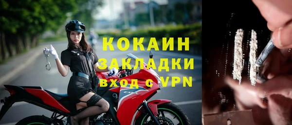 стаф Абинск